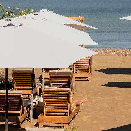 Ionian Blue - Adults Friendly *