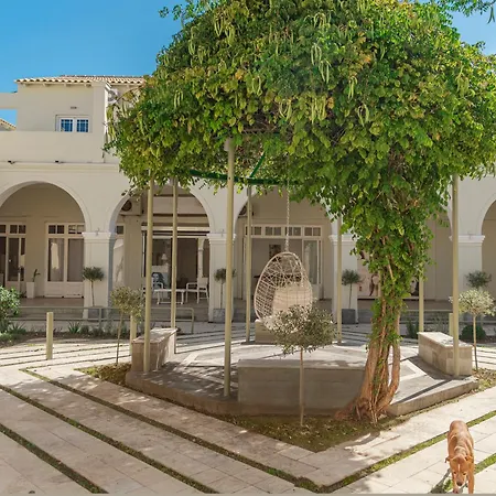 Hotel Ionian Blue - Adults Friendly Kávos
